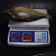 Trade bench scales M-ER 329 AC-15.2 IP67 "Fisher" LED