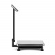 Trading floor scales M-ER 333 ACP-60.10/20 TRADER with calculation. Cost of LED with RS-232
